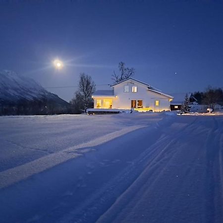 Mountainside Lodge - Breivikeidet Tromso Luaran gambar