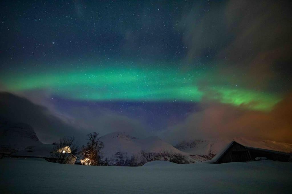 Mountainside Lodge - Breivikeidet Tromso Luaran gambar