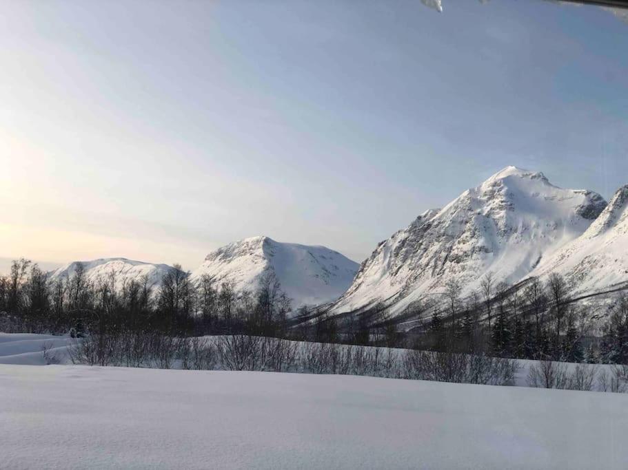 Mountainside Lodge - Breivikeidet Tromso Luaran gambar