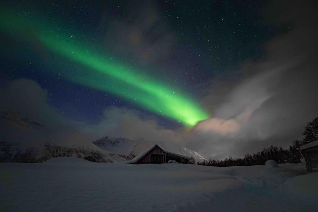 Mountainside Lodge - Breivikeidet Tromso Luaran gambar