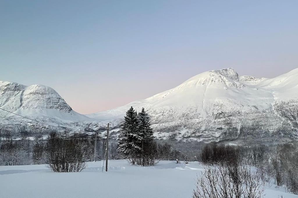 Mountainside Lodge - Breivikeidet Tromso Luaran gambar