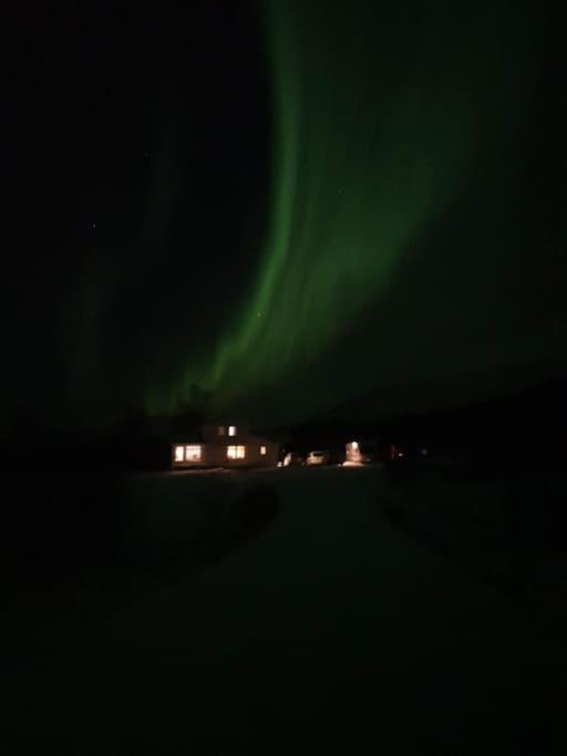Mountainside Lodge - Breivikeidet Tromso Luaran gambar