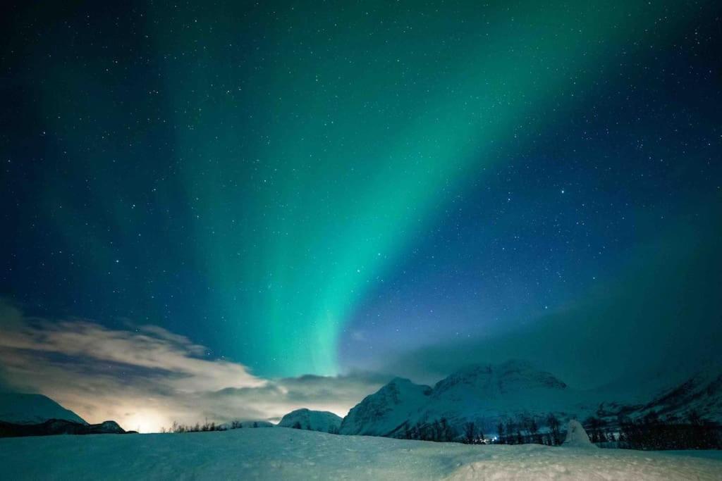 Mountainside Lodge - Breivikeidet Tromso Luaran gambar