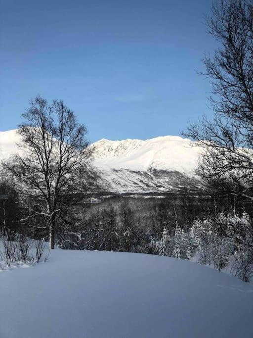 Mountainside Lodge - Breivikeidet Tromso Luaran gambar