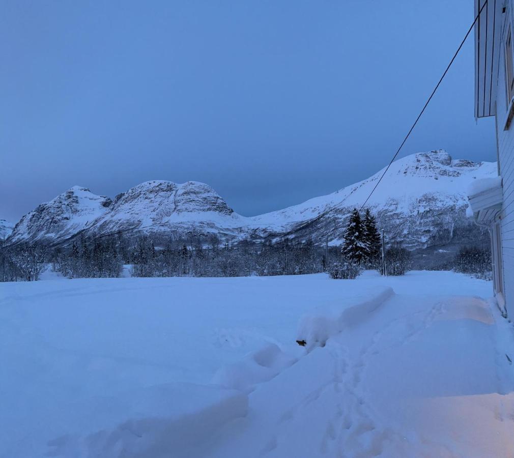 Mountainside Lodge - Breivikeidet Tromso Luaran gambar