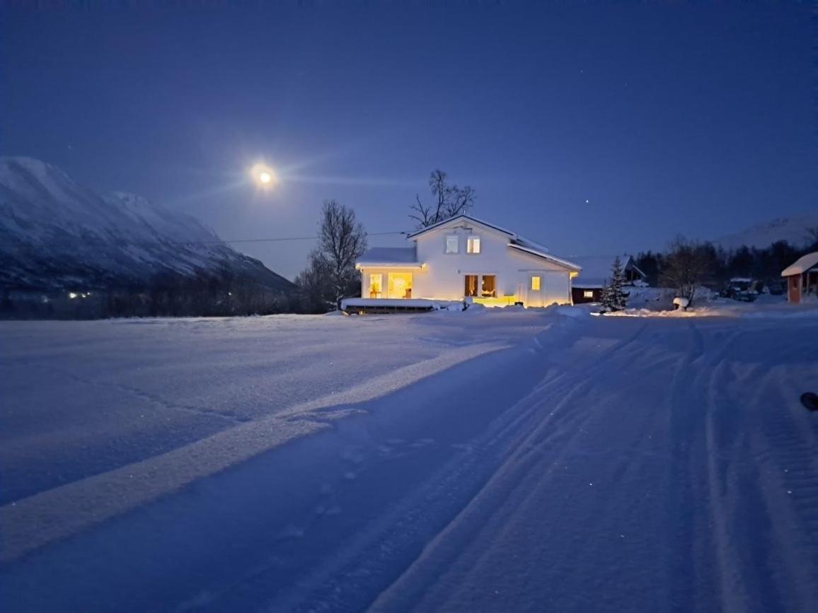 Mountainside Lodge - Breivikeidet Tromso Luaran gambar
